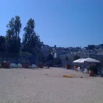 Eureka Valley Dog Play Area photo 1
